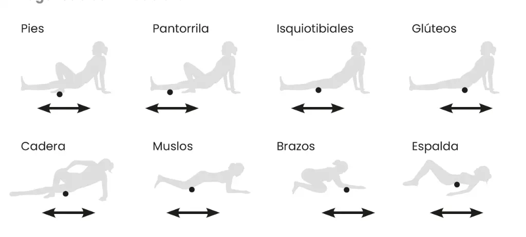 instrucciones, ejercicios, rodillo, masaje, roller, fisio, rehabilitación