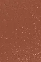 T53_square.webp