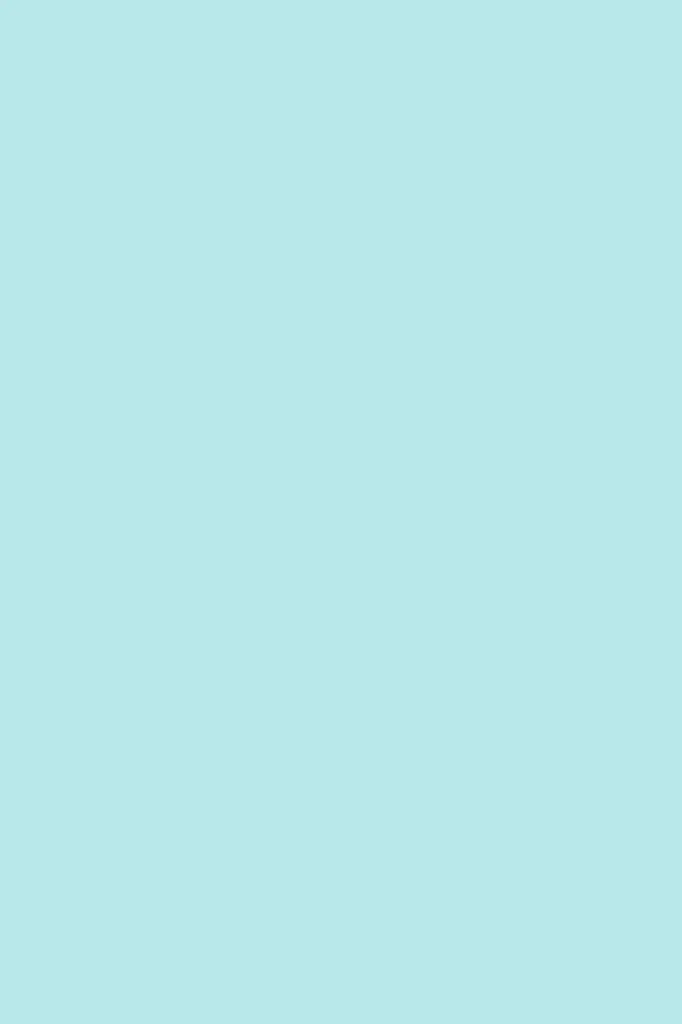 T55_square.webp