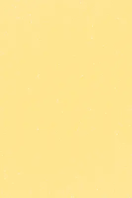 T54_square.webp
