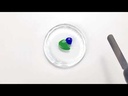 youtube - [Video]