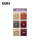 skp-fey26-igora-bonding-pdp-igora-fashion-lights-shade-overview-2048x2048.webp