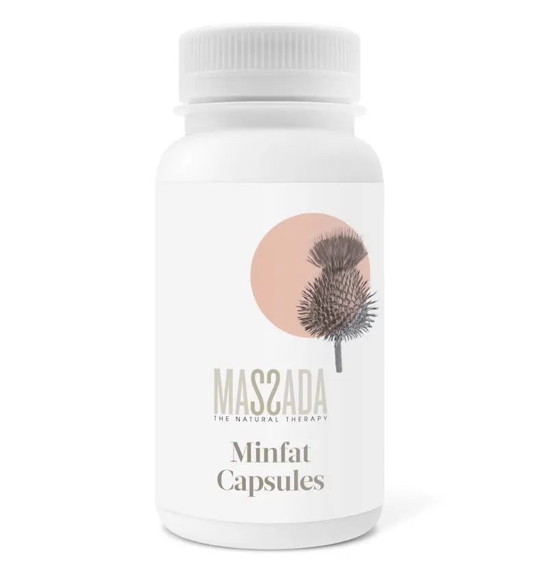 CÀPSULES MINCEUR 50x500mg 224 MAS