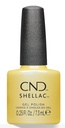 [2001SCHTR] SHELLAC CHAR-TRUTH ACROSS THE MANIVERSE 7,3ML CND