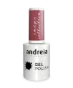 ANDREIA GEL POLISH IN6 - 10,5ML BEST OF!