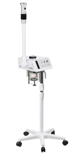 [271050F300A] VAPOR H-TWO LUXURY DIGITAL FAC.STEAMER F300A WEE