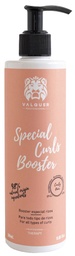 [102700BOOSTER] BOOSTER ESPECIAL CURL 300ml VAL